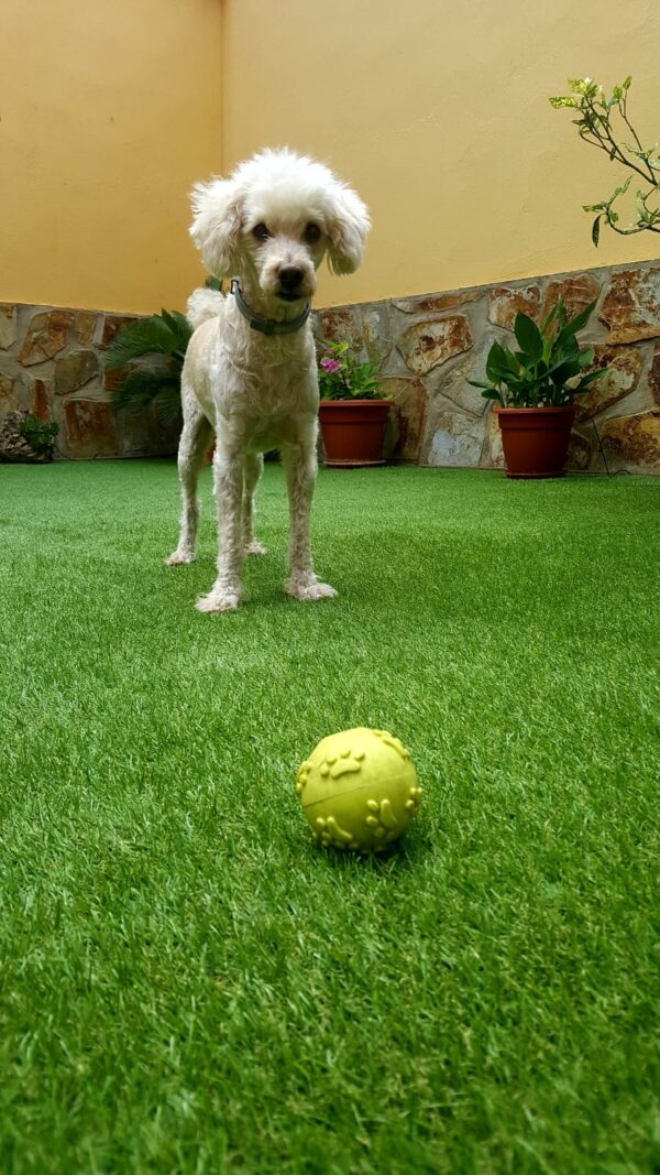 cesped artificial castellon
