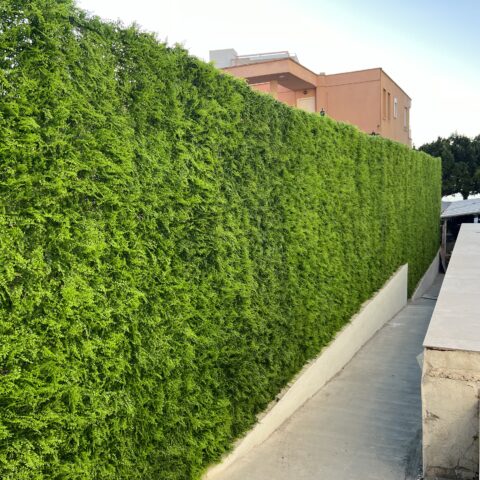 Jardín Vertical Zaragoza
