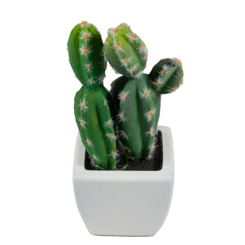 Maceta con planta artificial cactus