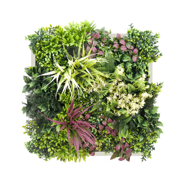 Jardín Vertical Cuadro Vegetación Blanco
