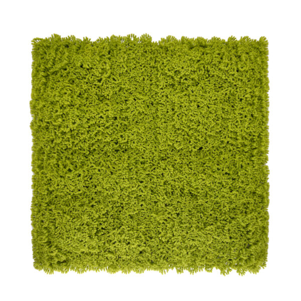 Jardín Vertical Musgo Amarillo