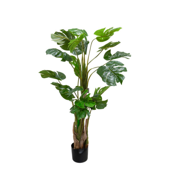 Filodendro Tronco Natural 120CM