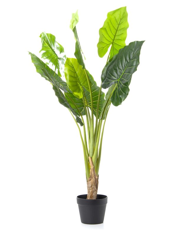 Alocasia Artificial