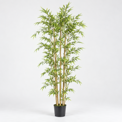 BAMBÚ 150CM