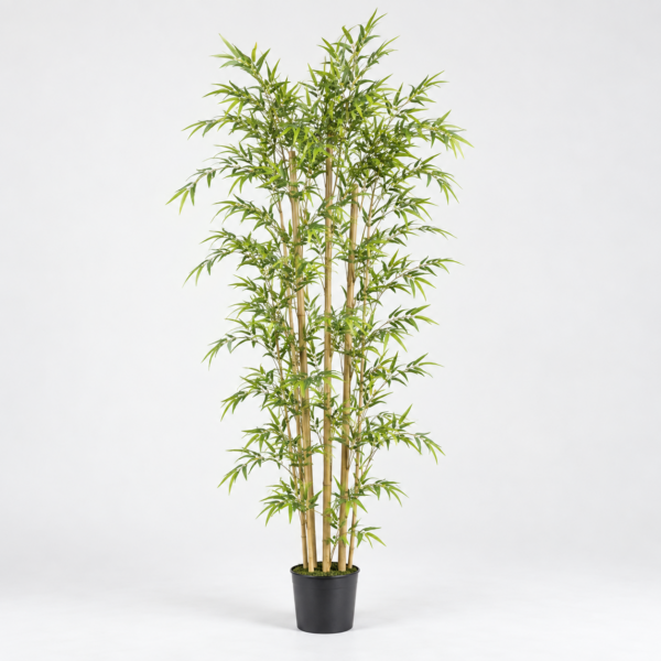 BAMBÚ 150CM
