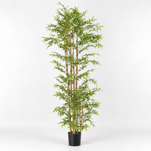 Bamboo 210 cm