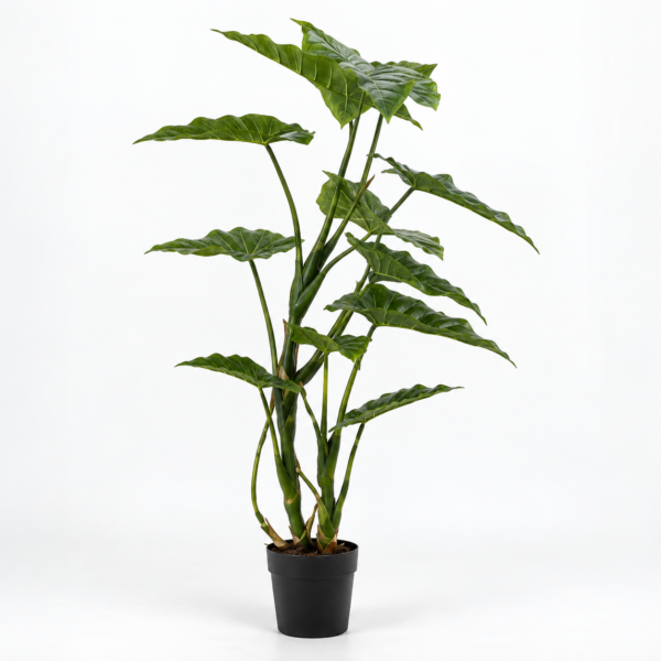 Filodendro Tronco 120CM