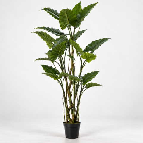 Filodendro Tronco 210CM