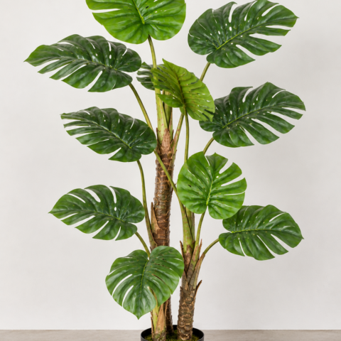 Monstera Tronco Castanho 150 CM