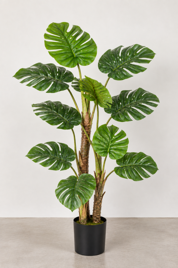 Monstera Tronco Marrón 150CM