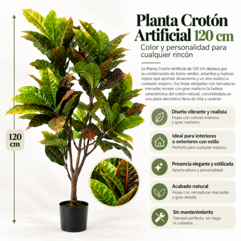 Planta Crotón 120CM