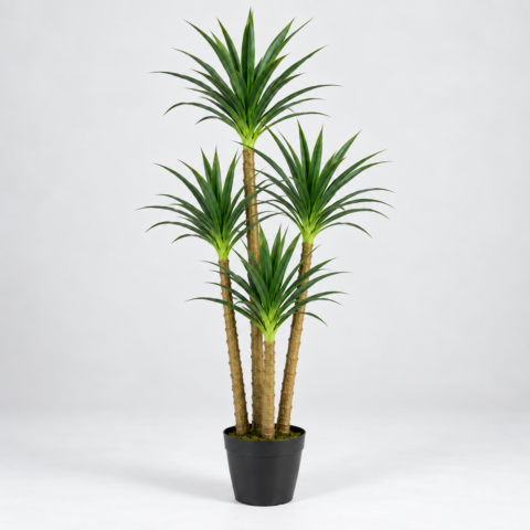 YUCCA 160CM