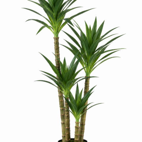 Yucca 120 cm