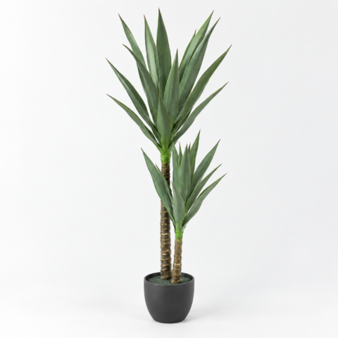 Yuca 120CM