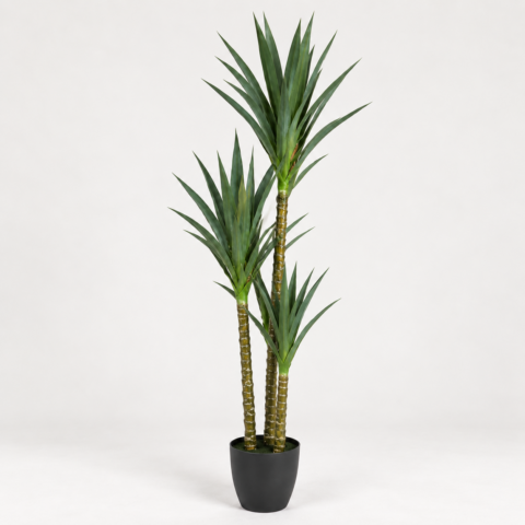Yuca 180CM