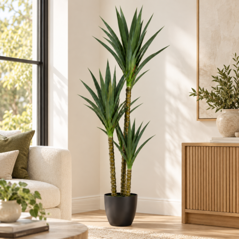 Yuca 180CM